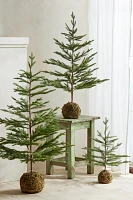 Moss Ball Mini Faux Fir Tree