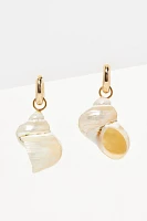 Conch Shell Huggie Earrings