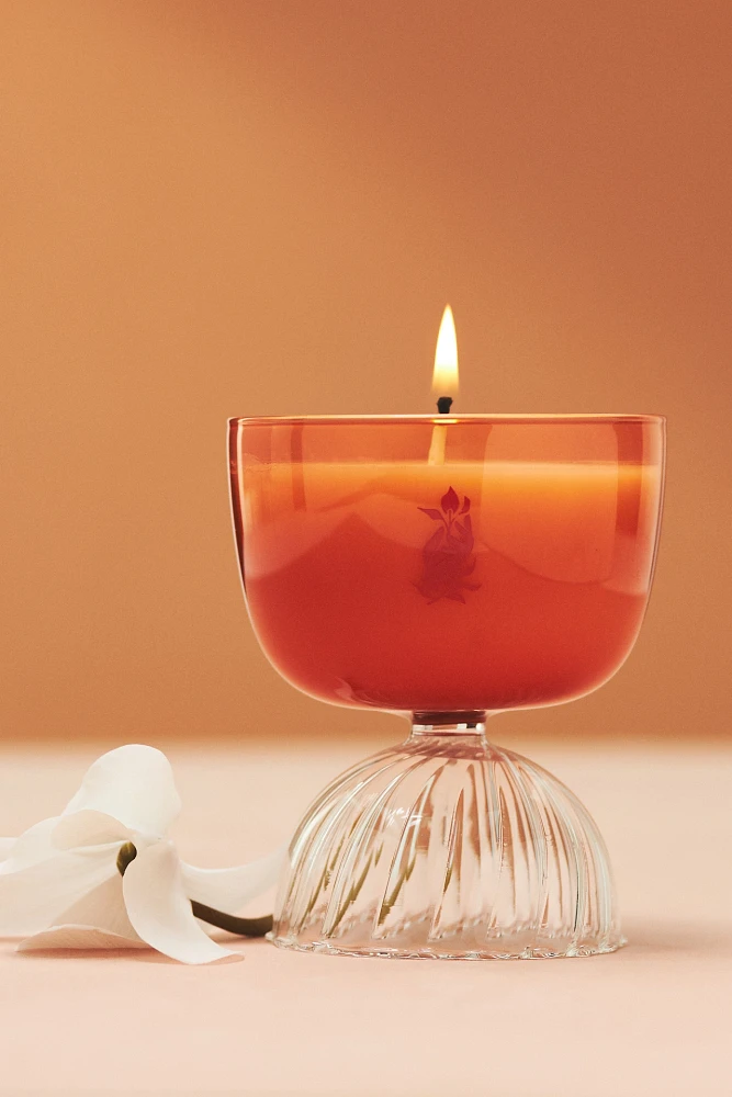 Rewined Mimosa Coupe Glass Candle