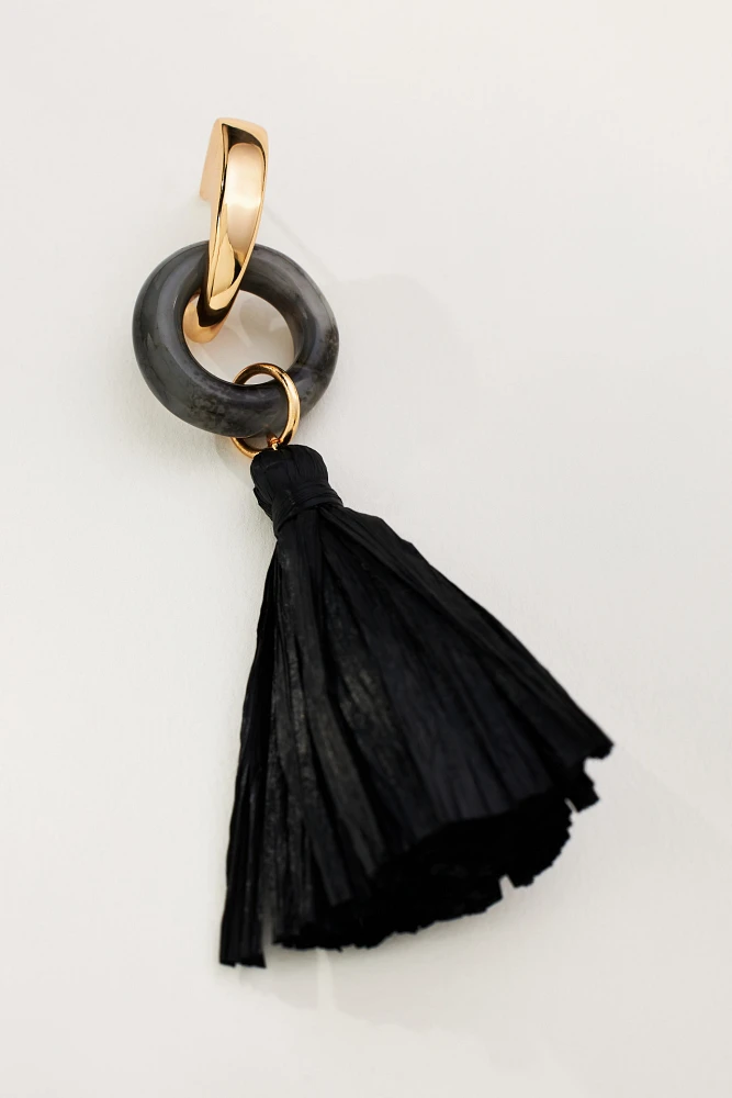 Enamel Ring Tassel Drop Earrings