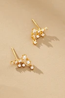 Crystal Cluster Post Earrings