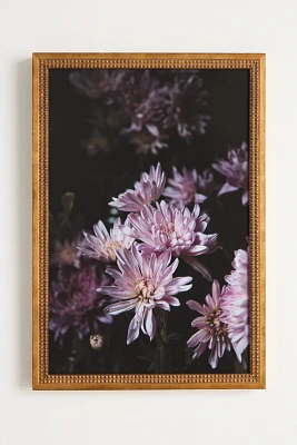 Chrysantemums Wall Art