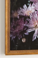 Chrysantemums Wall Art