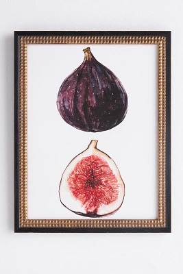 Watercolor Fig Wall Art