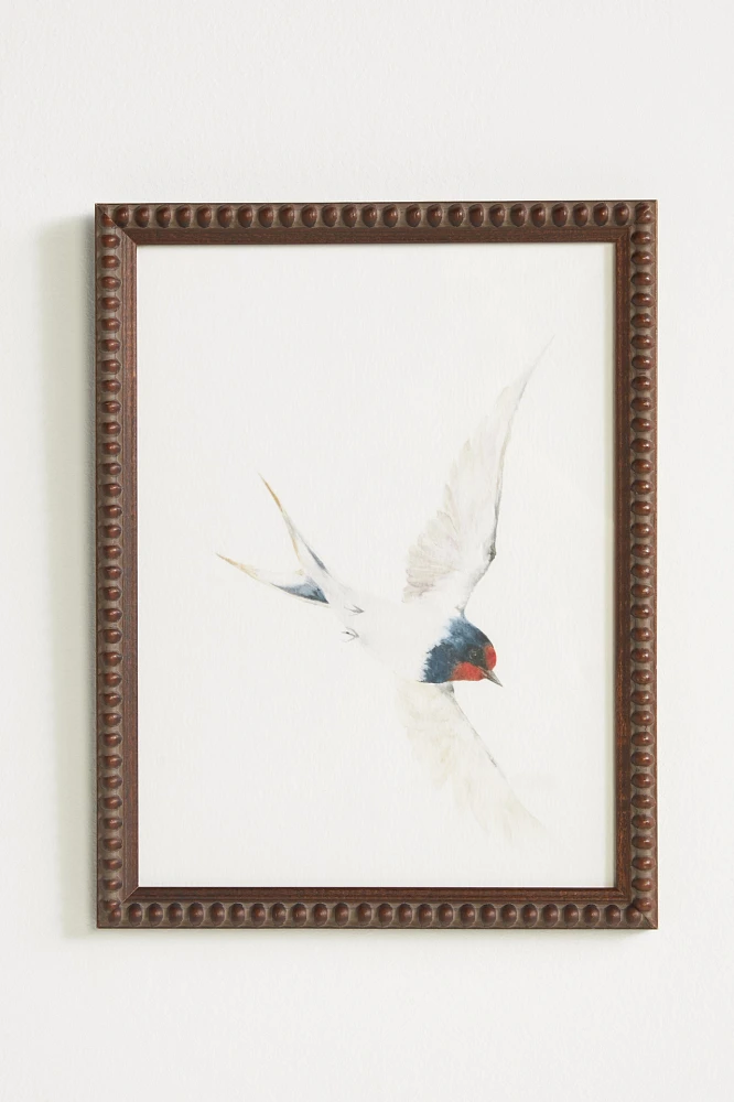 Swallow Wall Art