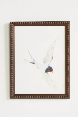 Swallow Wall Art