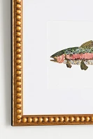 Pressed Flower Rainbow Trout Wall Art