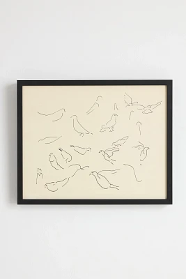 Studies of Pigeons Wall Art