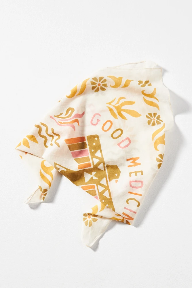 Faherty SPJ Good Medicine Scarf