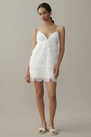 BHLDN V-Neck Tulle Rosette Mini Dress