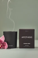 Apotheke Charcoal Rouge Boxed Candle