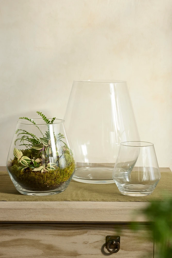 Arja Glass Terrarium