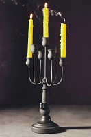 Black Spider Metal Candelabra