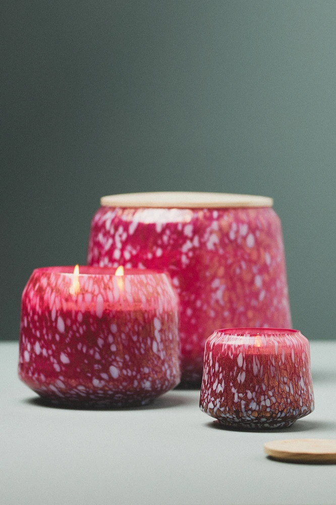 The Signature Candle by Anthropologie: Sweet Tonka & Vanilla