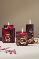 Apothecary 18 Floral Spiced Pomander & Balsam Boxed Candle