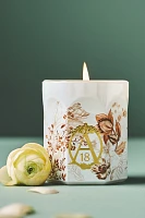 Apothecary 18 Woody Fresh Balsam & Cedarwood Candle