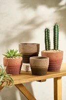 Tiered Ombre Cement Pot