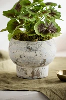 Brushstroke Footed Ceramic Pot