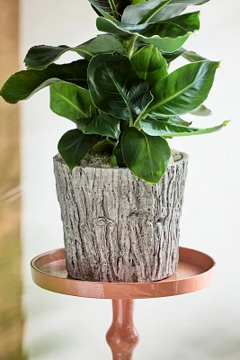 Faux Bois Taper Planter