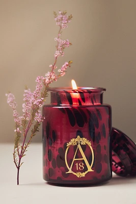 Apothecary 18 Floral Spiced Pomander & Balsam Glass Jar Candle