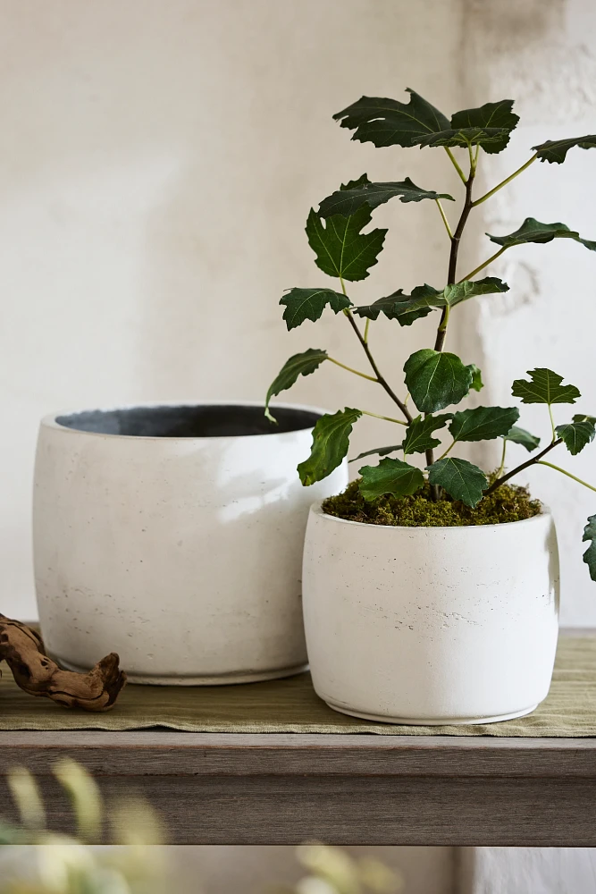 Barrel Cement Planter