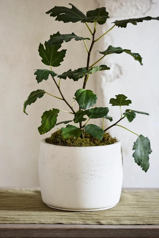Barrel Cement Planter