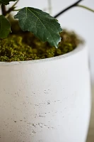 Barrel Cement Planter