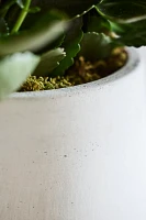 Droplet Cement Planter