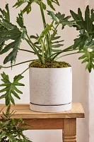 Cement Cylinder Pot + Saucer Set