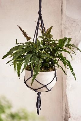 Hanging Round Cement Planter