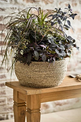 Woven Seagrass + Fiber Taper Bowl Planter