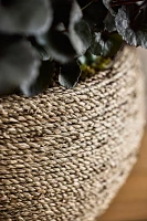 Woven Seagrass + Fiber Taper Bowl Planter