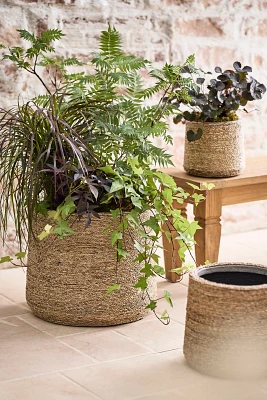 Woven Seagrass + Fiber Taper Pot