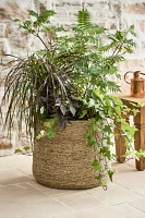 Woven Seagrass + Fiber Taper Pot