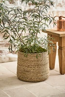 Woven Seagrass + Fiber Taper Pot