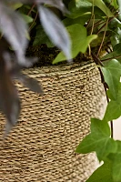 Woven Seagrass + Fiber Taper Pot