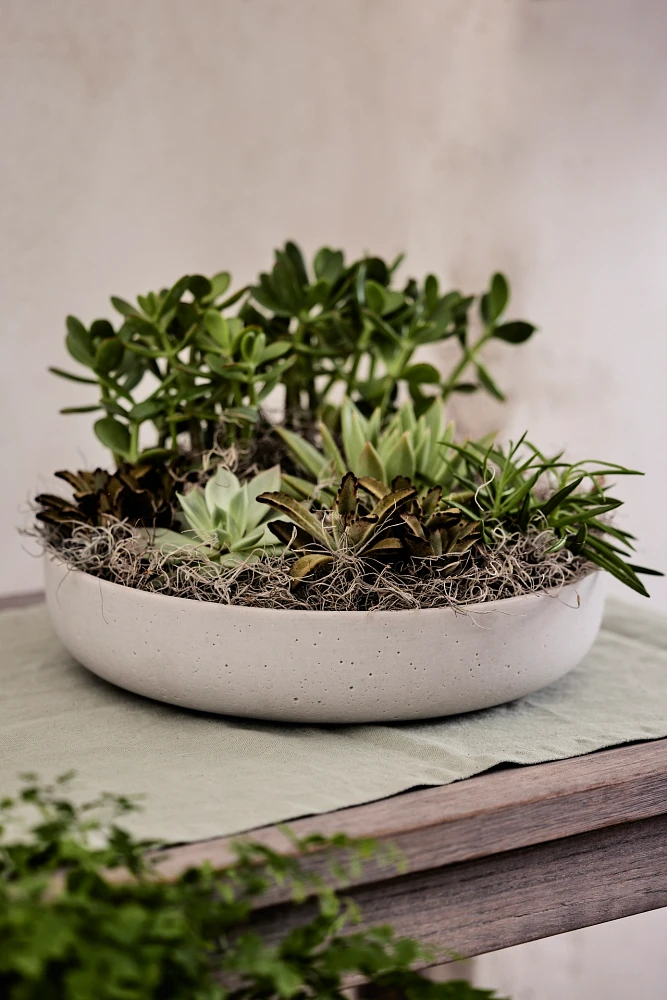 Wide Sandstone Fiber Bowl Planter