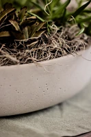 Wide Sandstone Fiber Bowl Planter