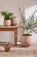 Footed Round Cement Planter