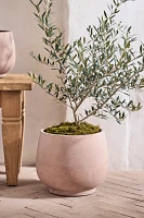 Footed Round Cement Planter