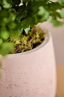 Footed Round Cement Planter