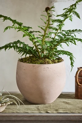 Cement Orb Planter