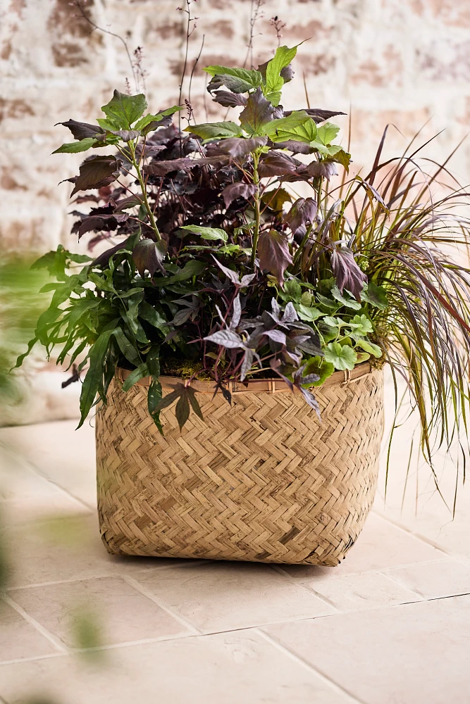 Woven Bamboo + Fiber Square Base Planter, Low