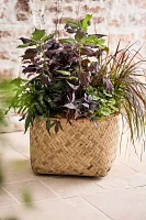 Woven Bamboo + Fiber Square Base Planter, Low