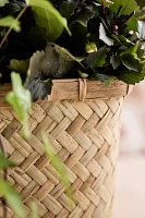 Woven Bamboo + Fiber Trough Planter