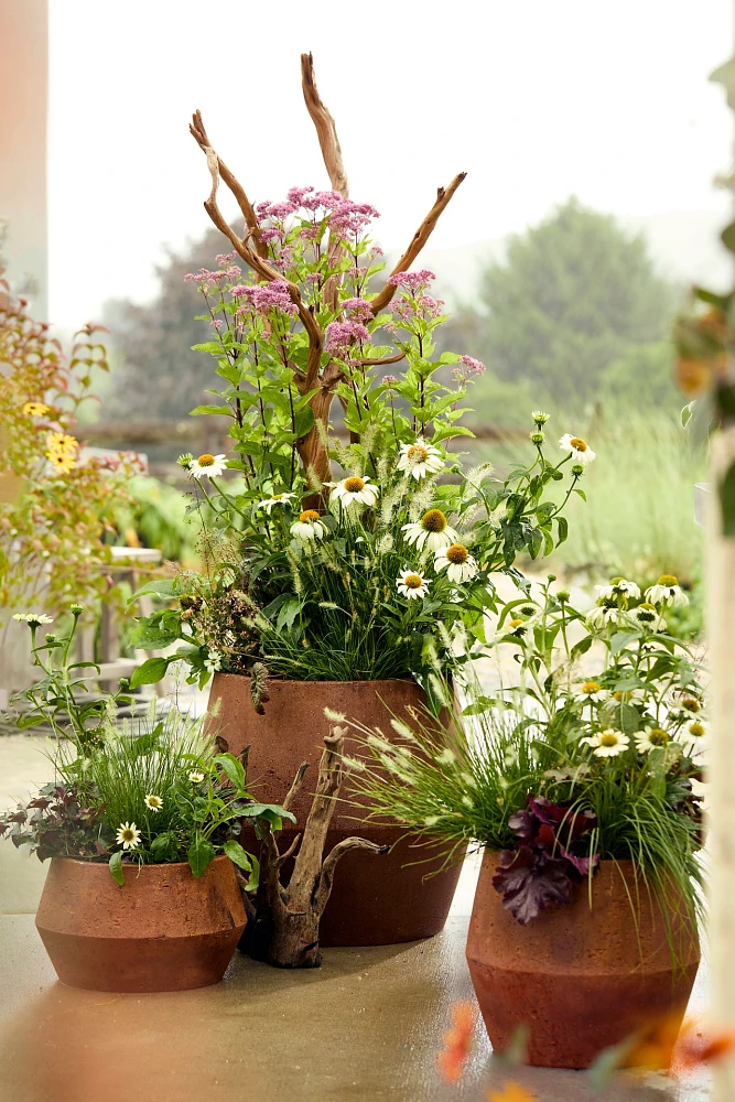 Fiber Beveled Barrel Planter