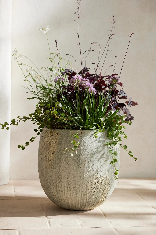 Barnacle Fiber Concrete Egg Planter