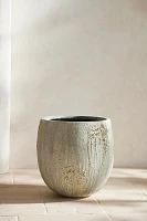 Barnacle Fiber Concrete Egg Planter