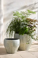 Barnacle Fiber Concrete Curved Jar Planter