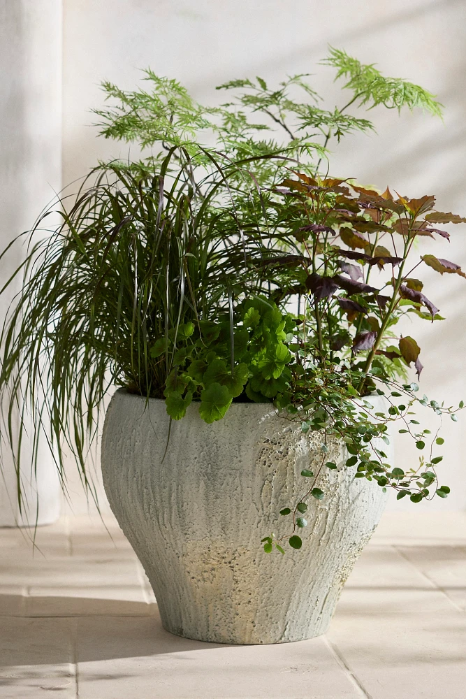 Barnacle Fiber Concrete Curved Jar Planter